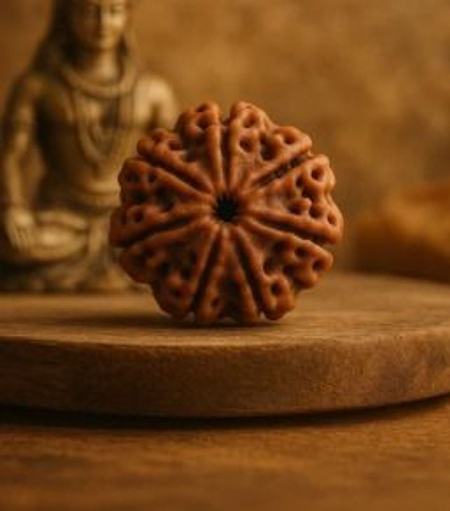 7 Mukhi Rudraksha Lab Tested & Certified